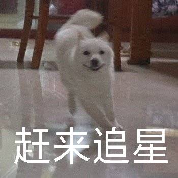 汪星人奔跑表情包合集来了