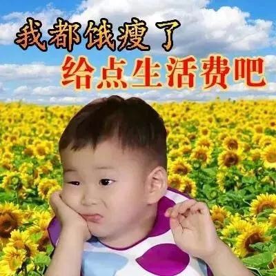 软萌讨钱表情包合集，聊天开口要钱全靠它