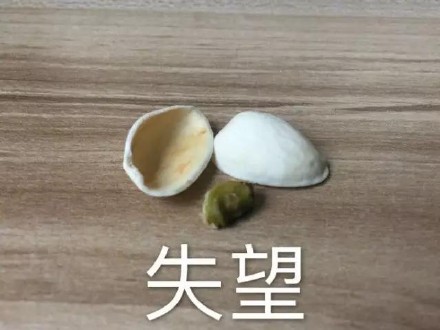 吃开心果配这个表情，简直像在品完一整个人生