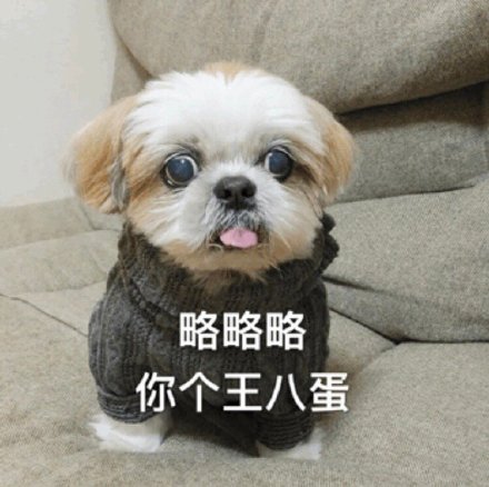 快乐狗子表情包合集来啦