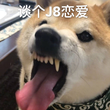 单身狗配Doge的表情包合集来了