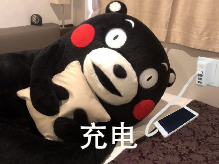 这套熊本熊表情包，完美还原了我的周末日常