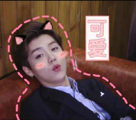 鹿晗专属聊天表情包来啦