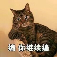 猫咪表情包合集来啦，斗图不用愁