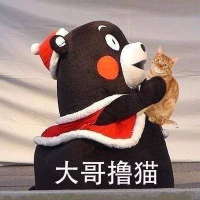 熊本熊“大哥请”系列表情包上新