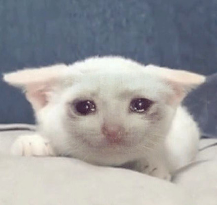 超火流泪猫猫头表情包合集
