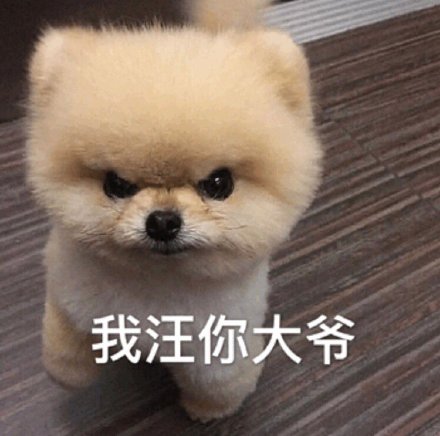 快乐狗子表情包合集来啦