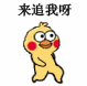 超实用小黄鸡路过表情包合集