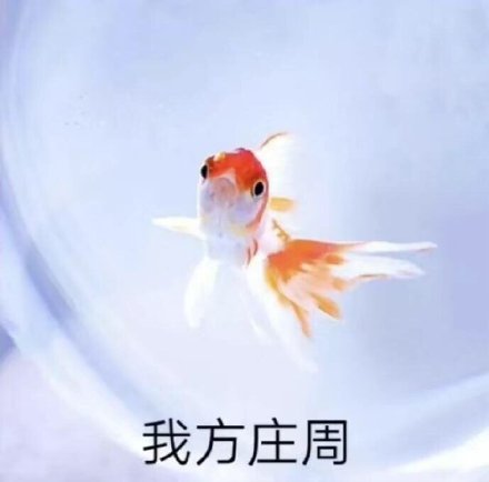 王者荣耀敌我差距有多离谱？看完这套表情包我怀疑自己玩了假游戏