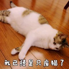 打工人摸鱼必备！