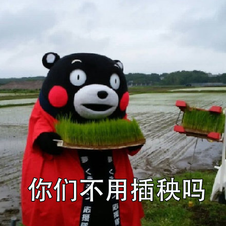 打工人专属吐槽表情包合集！你是不是也想问“你们不用干活吗？”