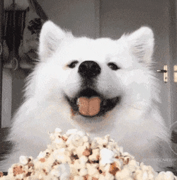 萨摩吃播动图合集来啦