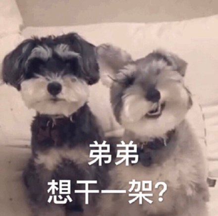 快乐狗子表情包合集来啦