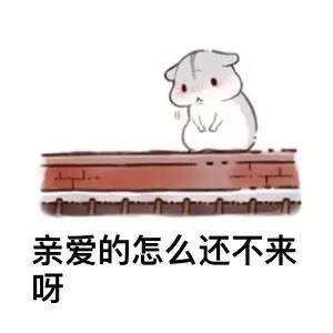 情侣聊天必备！软萌小兔几表情包合集