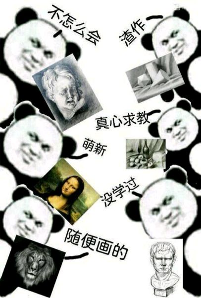 新手画画小白来报道啦