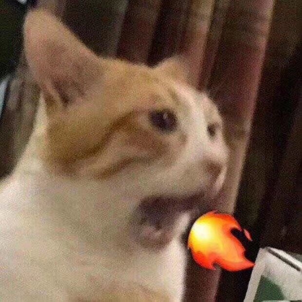 适合发朋友圈的背景图合集