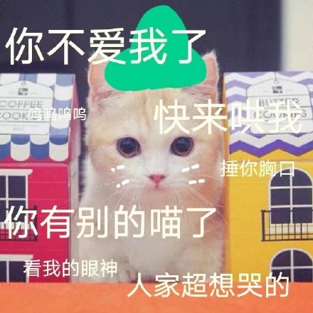 软萌小猫咪表情包合集，斗图聊天直接用