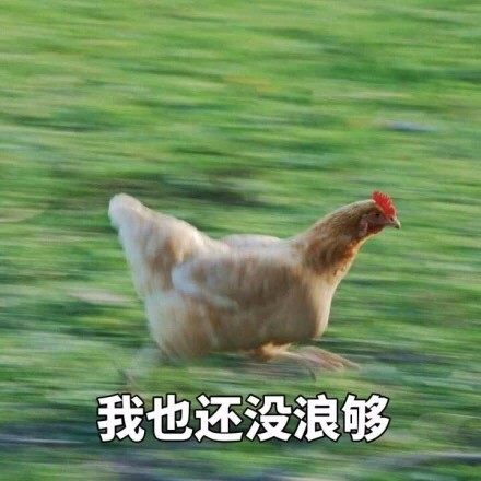 即将开学的你别慌！这套飞奔的鸡表情包完美戳中你的状态
