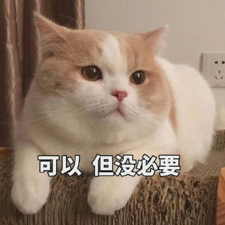 软萌治愈！这套小猫咪表情包太适合日常聊天了
