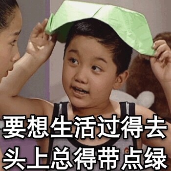 谁的DNA动了！《家有儿女》表情包合集来啦