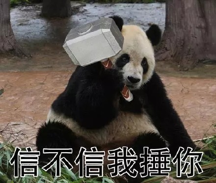 整理好的大熊猫斗图表情包合集