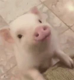 跟男友撒娇要亲亲的表情包合集