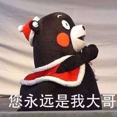 熊本熊“大哥请”系列表情包上新