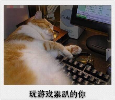 春节专属表情包来啦！精准戳中你的假期日常