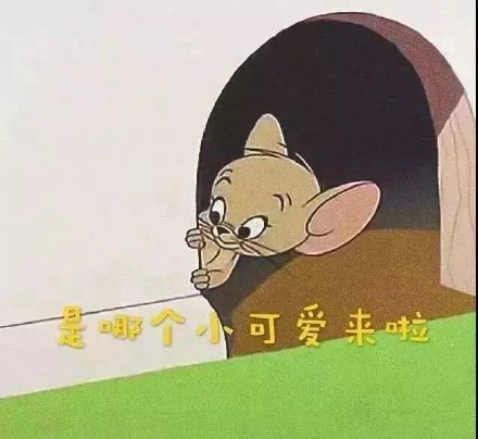 朋友圈专属沙雕背景图合集