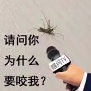 聊天斗图必备！这套蚊子表情包太懂打工人的痛了