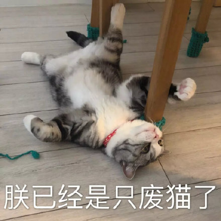 打工人摸鱼必备！