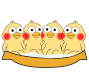 鹦鹉兄弟版泡脚表情包来啦