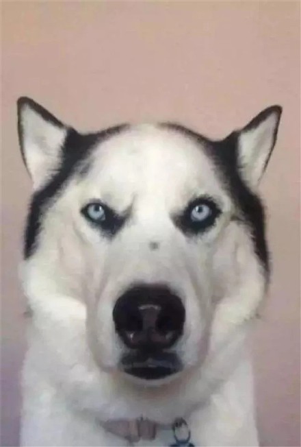 看一眼就笑喷！这些修勾长在笑点上了