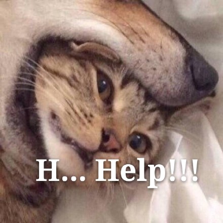 聊天斗图看这里！这套猫咪表情包太好用了