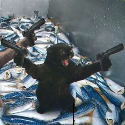 超可爱喵星人情侣头像合集