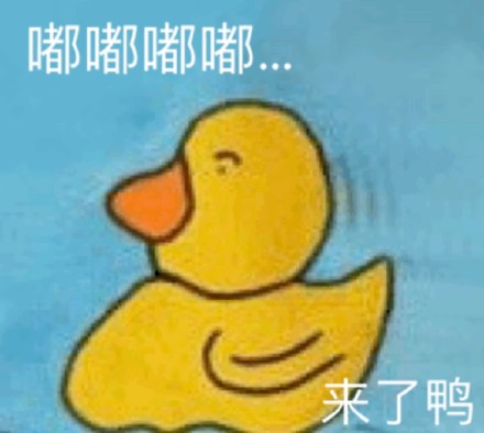 超火小黄鸭嘎嘎表情包合集