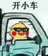 聊天斗图必备！小黄鸡开车表情包合集