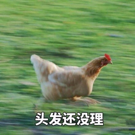 即将开学的你别慌！这套飞奔的鸡表情包完美戳中你的状态