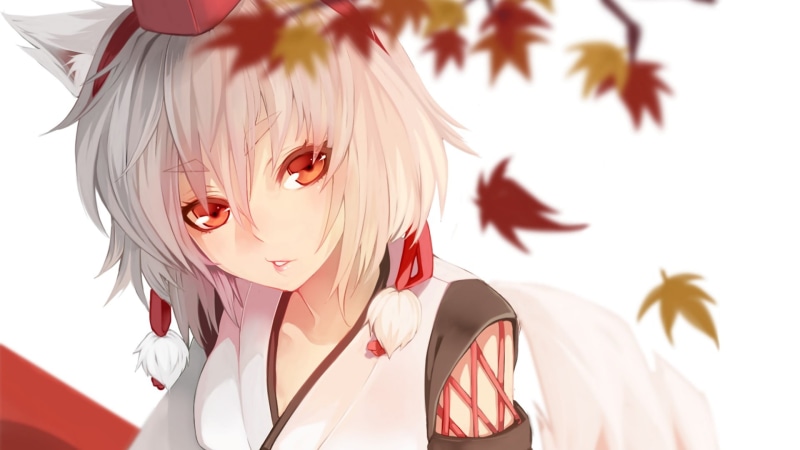 动漫狼娘绝美壁纸合集
