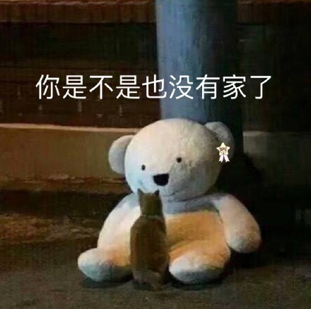 猫咪和玩具熊的暖心日常