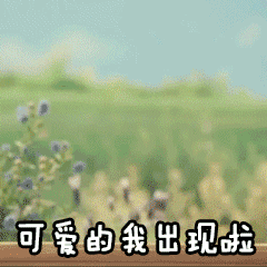 超好用的鹦鹉兄弟动图表情包合集