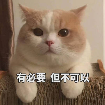 软萌治愈！这套小猫咪表情包太适合日常聊天了