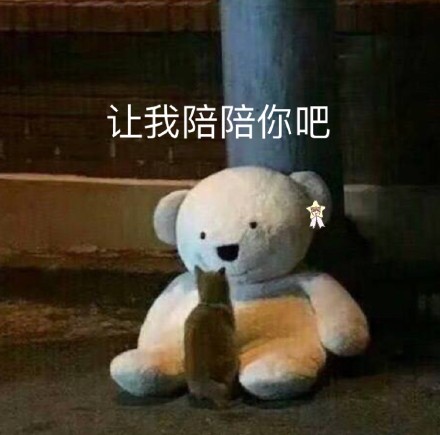 猫咪和玩具熊的暖心日常