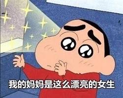 蜡笔小新母亲节专属表情包来啦