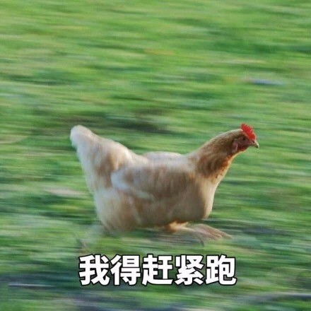 即将开学的你别慌！这套飞奔的鸡表情包完美戳中你的状态