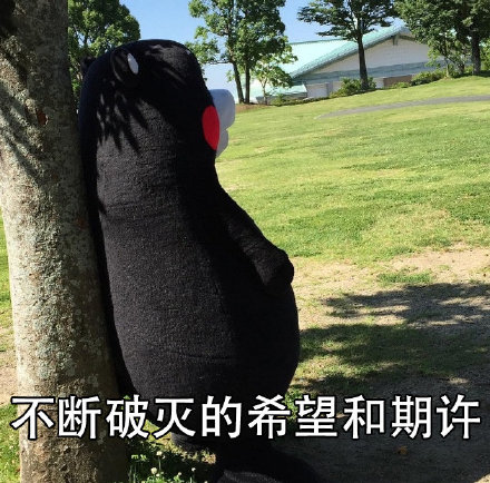 戳中无数人！这套度表情包带你复盘当年日常