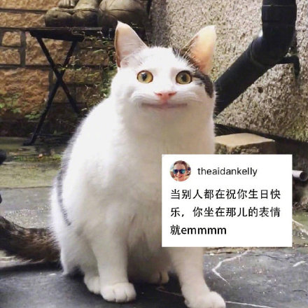 社恐狂喜！这套尬笑猫咪表情包精准戳中日常社死瞬间