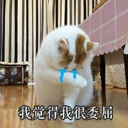 快收好这套永远楼楼表情包