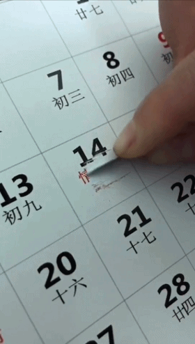 情人节专属斗图素材来啦