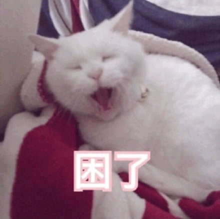猫咪版晚安邀约表情包来啦